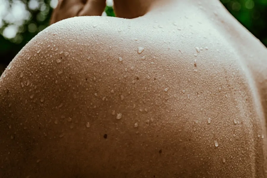 Sauna Buyers Guide - Used or Brand New Sauna?